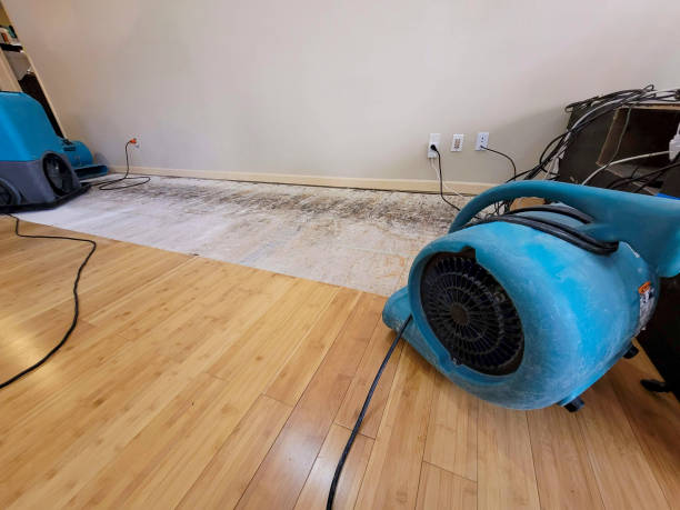 Professional Flood Damage Cleanup technician working in Sheridan, WY